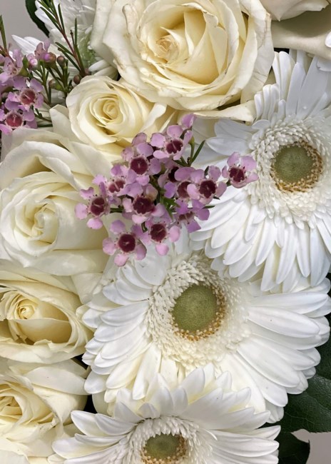 Obituary of Pauline Po-Tin Lee