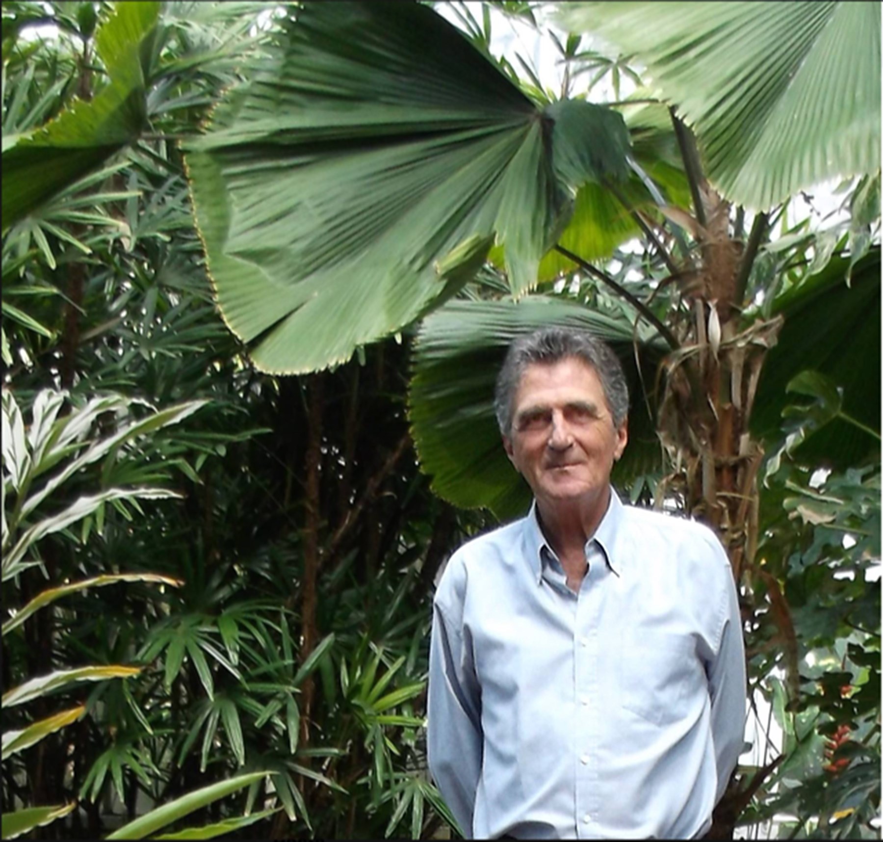 Obituary of David Palladini