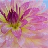 Obituary of Bernice Manuel