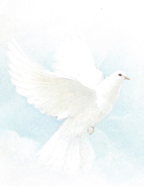 Obituary of Seymour Rich