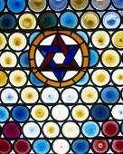 Obituary of Shannon J. Altman