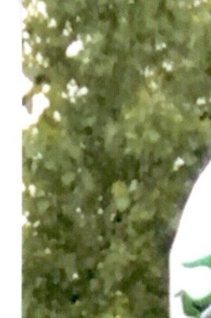 Robert Key Obituary - Indianapolis, IN