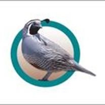 Obituary of Elouise Yeager