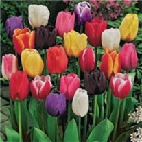 Obituary of Doris Jean Avery