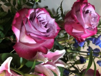 Obituary of Marilyn Yvonne Van Leuven