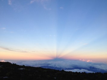 Obituary of Dorothy Rita Dowling