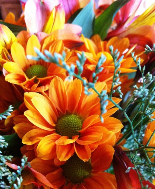 Obituary of Norma L. Wells