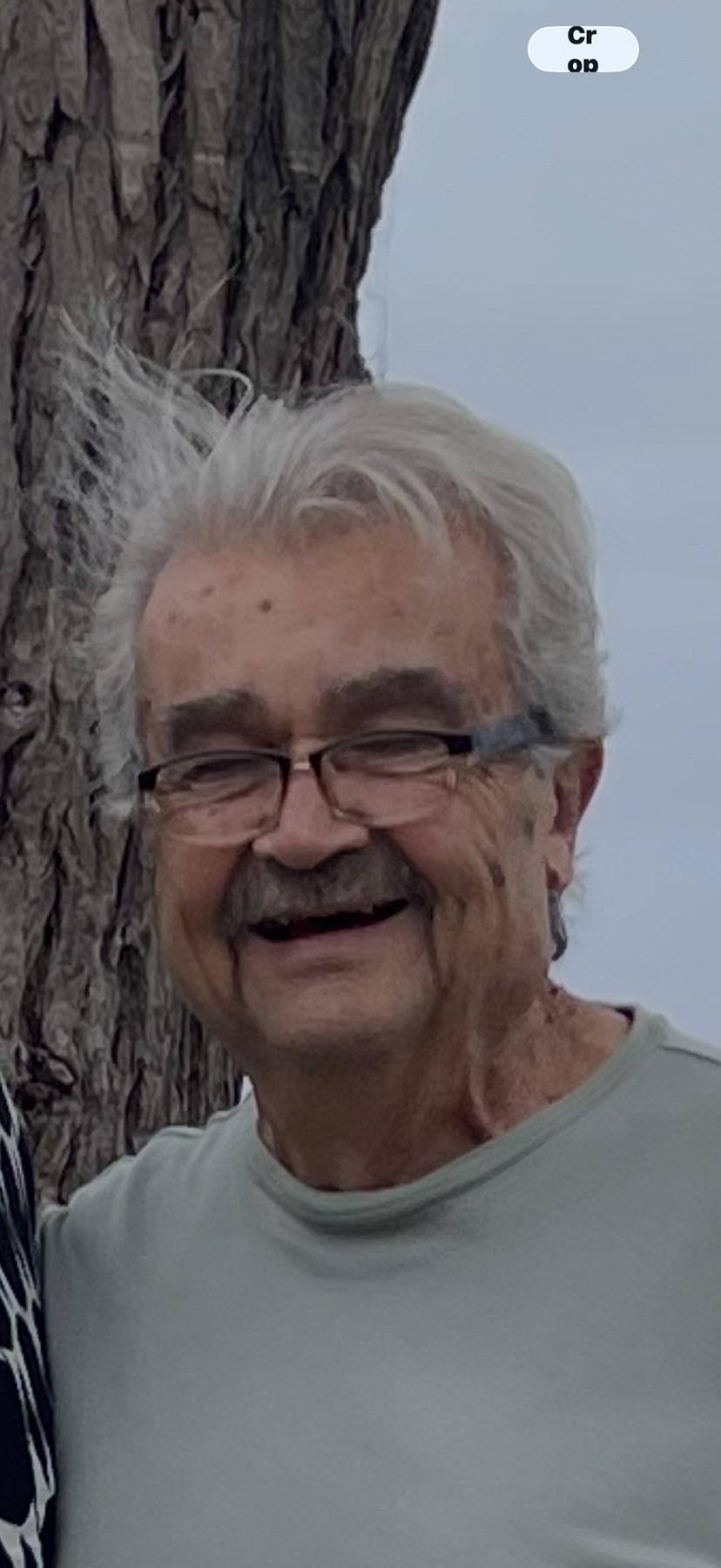 Obituary of Miguel Jorge Negrelli