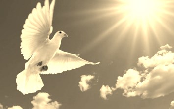 Obituary of Guadalupe Valdez