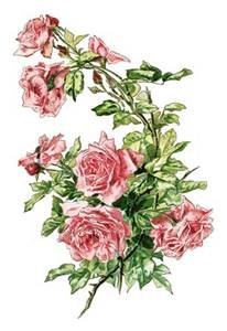 Obituary of Vivian Allene Alford Pryor Crews