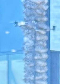 Boo Lee 이부남 Obituary - Whittier, CA