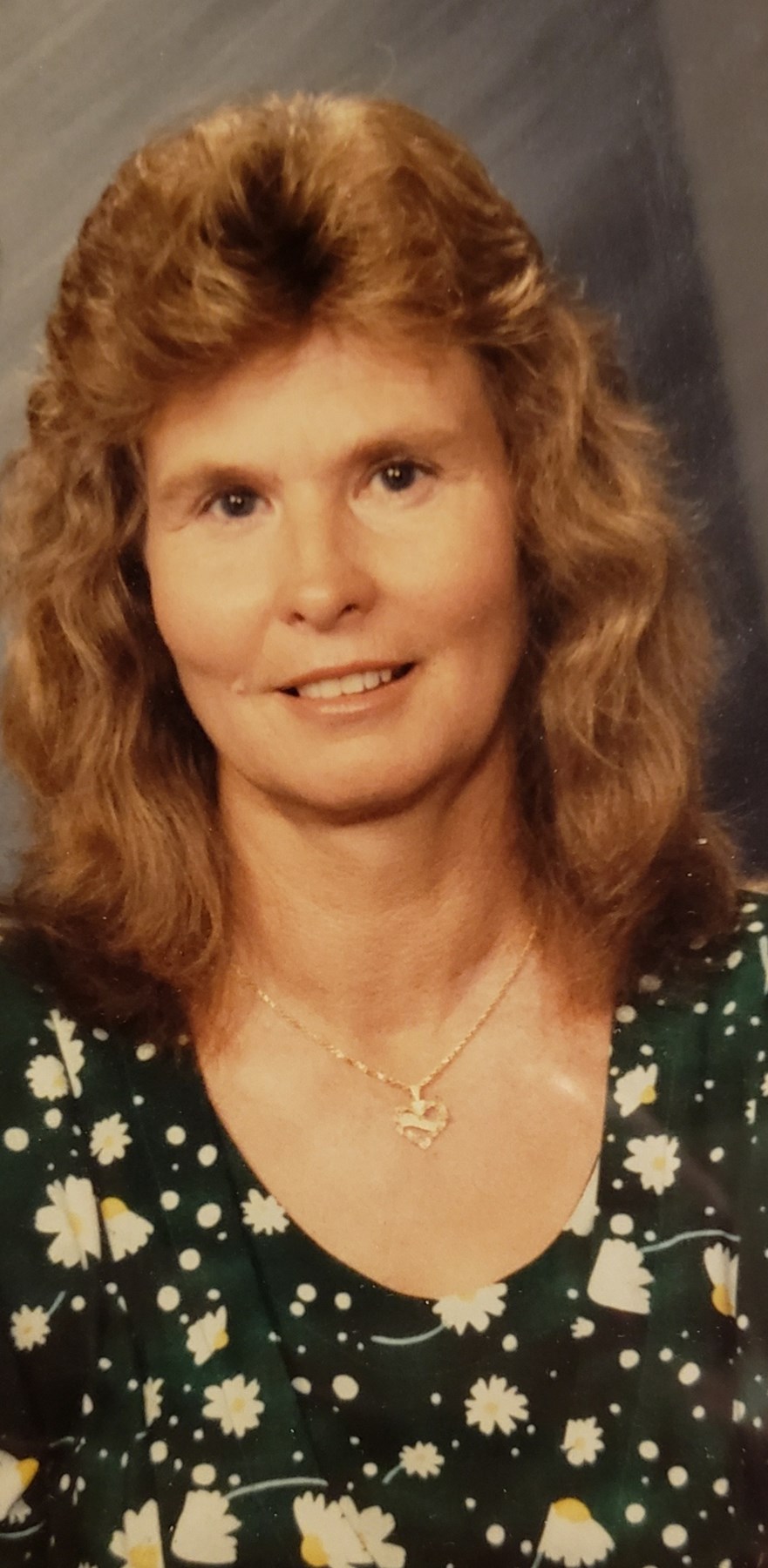 Obituary of Shirley Diane Skipper