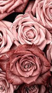 Obituary of Eliane Capocci