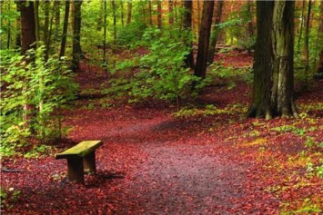 Obituary of Molly Marie Cartwright