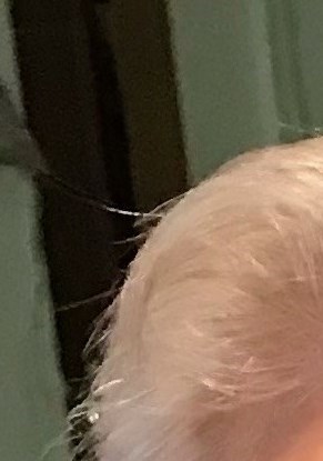 George Rice Obituary - Deer Park, NY