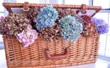 Obituary of Leora Ardis Bergman