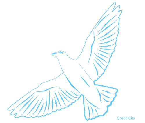 Obituary of Lucy Selenia Wilson