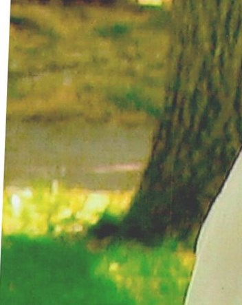 Dick Parlet Obituary Paso Robles, CA