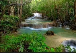 Obituario de Roger Joseph Rome