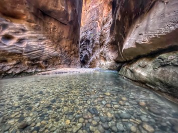 Obituary of Sharon Corrine Forward