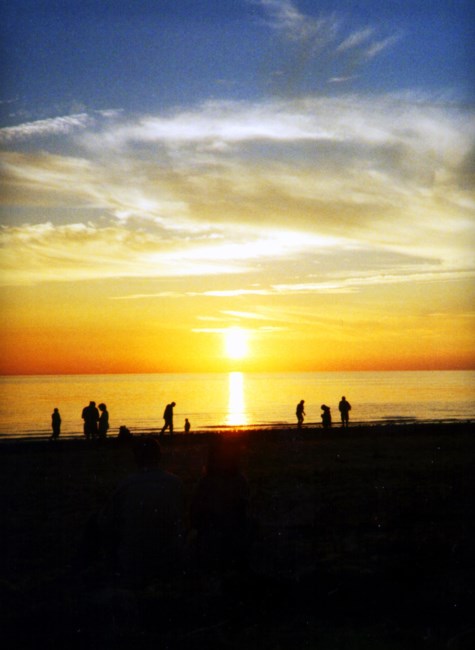 Obituary of Diane M Walch