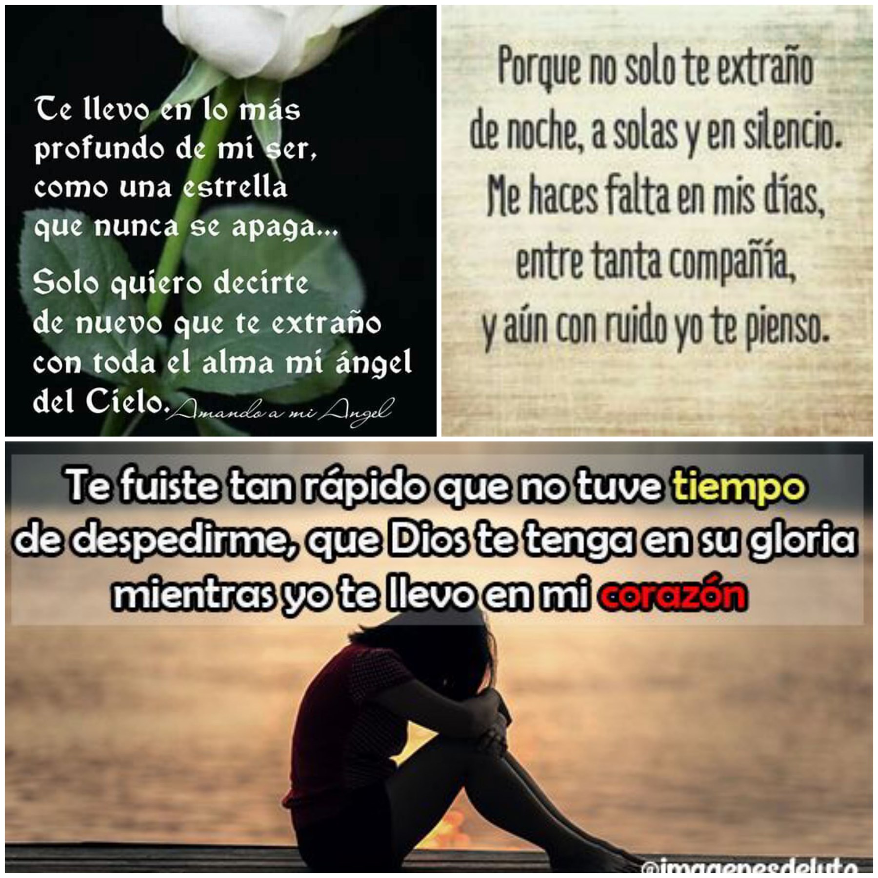 Rosie Vivas Obituario - West Palm Beach, FL