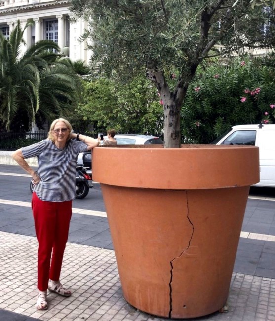 Obituary of Lynne Marx Chabot