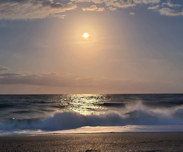 Obituary of Elliott Weinberg