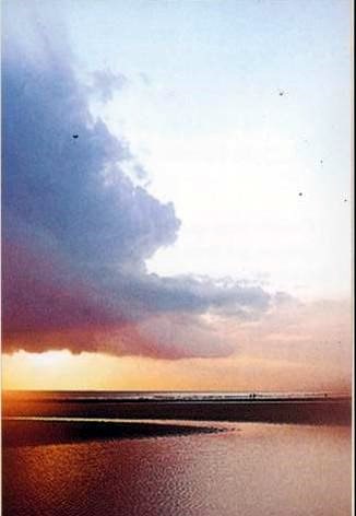 Obituary of Benito M Cardentey