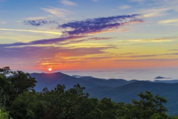 Obituary of Jo Ann Larson