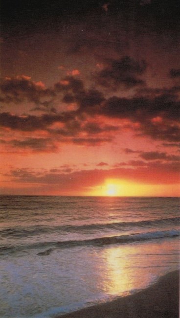 Obituary of Jessica Beecher