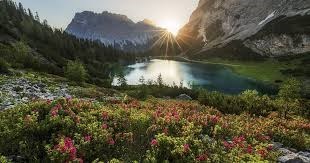 Obituary of Allen Anthony Brumit