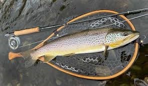 Avis de décès de Michael W Andrews