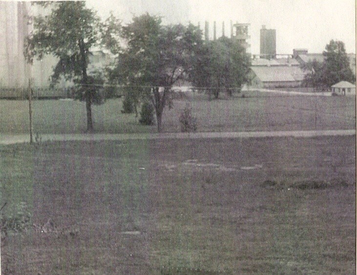 Obituary of Maryann Chalfant