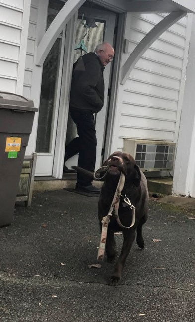 Obituary of Dr. Carlos Ray Ayers