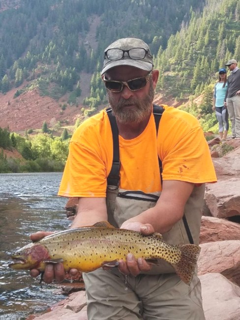 Obituary of Wade Ronald Perkins