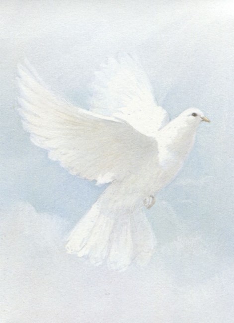 Obituary of Kinsey Lee Sodahl