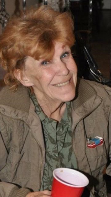 Obituary of Nancy Anne Holt