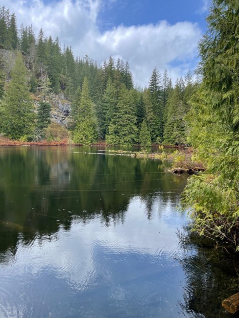 Obituary of Michael John Marlowe