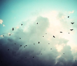 Obituary of Rodney Murray