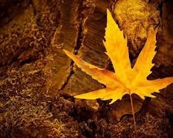 Obituary of Gerald W Hart