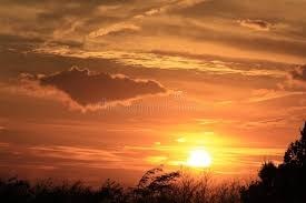 Obituary of Michael David Hileman