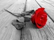 Obituary of Catherine Putz