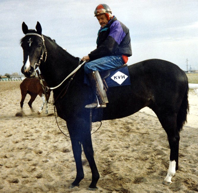 Obituary of Alva Lynn Jones