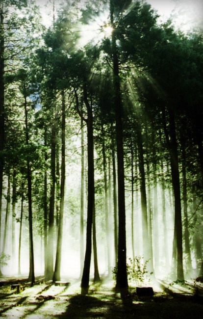 Obituary of Ruth Friedman