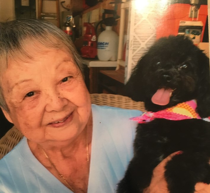 Obituary of Terry T. Boggs