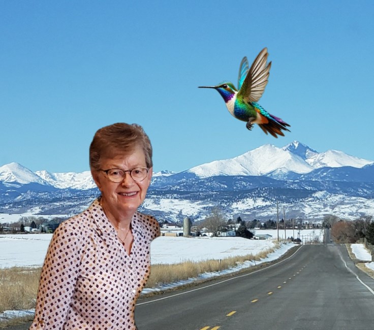 Obituary of Joanne Mae Dahmer