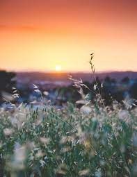 Obituary of Charles Edward Billups