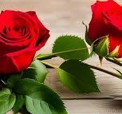 Obituary of Roxanne Alfano