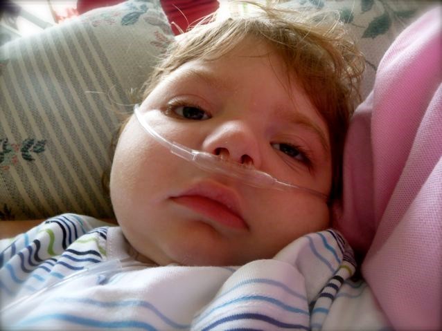 Nicolas Stein Obituary Fort Wayne In